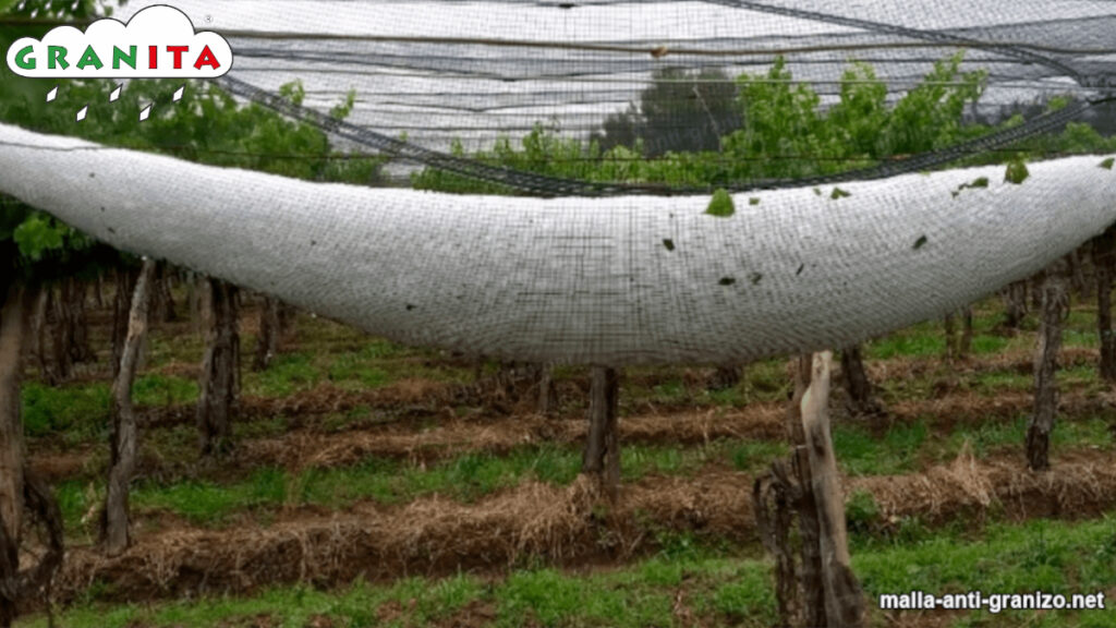 como evitar el granizo
